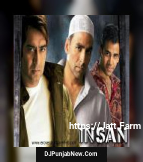 Insan