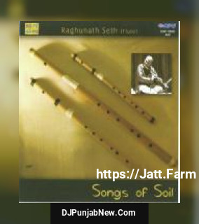 Devi Geet Flute Raghunath Seth Raghunath Seth