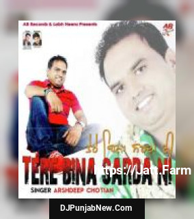 Tere Bina Sarda Ni
