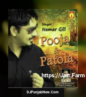 Pooja & Patola Namar Gill