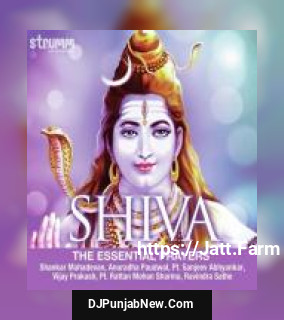 Shiv Panchakshar Stotra Anuradha Paudwal
