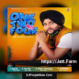 Haar Jaani Aa