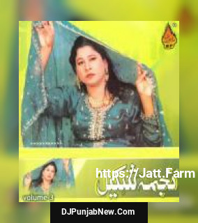 Saji Das Abha Gal, Vol. 3