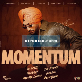 Momentum