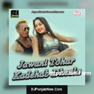 Bina Chhile Kahe Te Lille Anmol Yadav, Sarita Chauhan