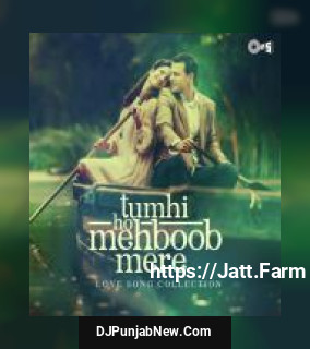 Aashiq Mujhe Aashiq Roop Kumar Rathod, Alka Yagnik