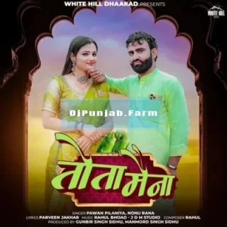 Tota Maina mp3 download