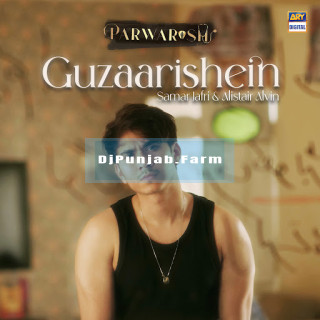 Guzaarishein (Parwarish) mp3 download